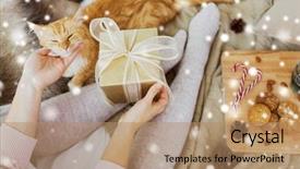  Presentation with snow cat - Amazing presentation theme having up of woman with christmas backdrop and a coral colored foreground