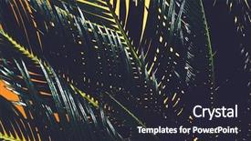  Presentation with palm leaves - Presentation theme having up on yellow background cycas background and a dark gray colored foreground