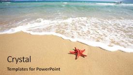  Presentation with fish beach - Beautiful presentation theme featuring up red starfish on beach backdrop and a coral colored foreground