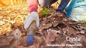  Presentation with plastic bag - Theme having up the old glass bottle background and a violet colored foreground