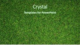  Presentation with crossfit - Amazing presentation theme having up view of astro turf backdrop and a forest green colored foreground