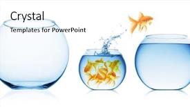  Presentation with top view of fresh fish - Beautiful presentation featuring brain - white puzzle backdrop and a white colored foreground