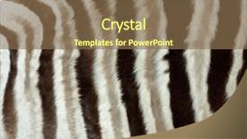  Presentation with close up view of the compass on old paper - Presentation theme enhanced with up view of the skin background and a violet colored foreground