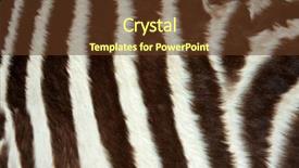  Presentation with close up view of the compass on old paper - PPT theme enhanced with up view of the skin background and a tawny brown colored foreground