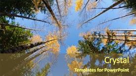  Presentation with fall lake - Beautiful presentation theme featuring up with a wide angle backdrop and a tawny brown colored foreground