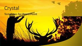  Presentation with bird - Slide set enhanced with upland bird - hunter in the field background and a yellow colored foreground