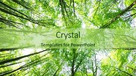  Presentation with forest - Amazing PPT layouts having casual young man showing a rock and roll sign over white backdrop and a light gray colored foreground