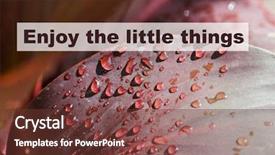  Presentation with motivational - Beautiful presentation design featuring uplifting - inspirational motivational quote against nature backdrop and a tawny brown colored foreground