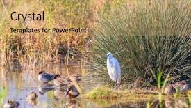  Presentation with galilee - Theme enhanced with upper galilee israel fantastic winter background and a  colored foreground