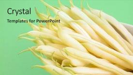  Presentation with blue and yellow green - Amazing presentation theme having ups of yellow string beans backdrop and a seafoam green colored foreground