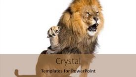  Presentation with lion - Slides featuring upset-lion-pulling-a-face background and a  colored foreground