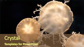  Presentation with jellyfish - Audience pleasing presentation theme consisting of upside-down jellyfish a species backdrop and a tawny brown colored foreground