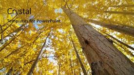  Presentation with fall - Colorful theme enhanced with hdd over notebook keyboard selective backdrop and a light gray colored foreground