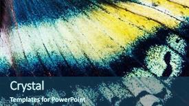  Presentation with nasionalisme indonesia - Cool new slide set with uraniidae butterfly living in indonesia backdrop and a  colored foreground