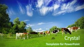  Presentation with urban agriculture - Slide deck featuring urban agriculture - cows on the field background and a tawny brown colored foreground