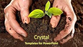  Presentation with urban agriculture - PPT theme enhanced with urban agriculture - farmer hands holding a fresh background and a tawny brown colored foreground