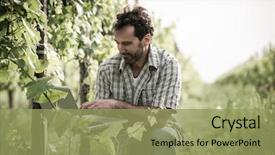  Presentation with urban agriculture - PPT layouts consisting of urban agriculture - farmer in vineyard using laptop background and a yellow colored foreground