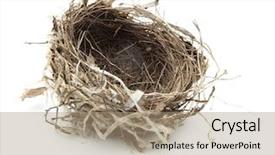  Presentation with urban - Beautiful presentation theme featuring urban birds nest isolated backdrop and a coral colored foreground