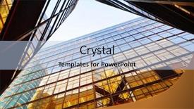  Presentation with urban design - PPT theme consisting of veterinary - beautiful maltese dog background and a soft green colored foreground