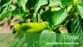  Presentation with organic farming - Beautiful PPT theme featuring urban farming - closeup of some sweet italian backdrop and a forest green colored foreground