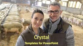  Presentation with couple in christ - Presentation theme featuring urban farming - couple of breeders in sheep background and a tawny brown colored foreground