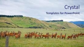 Presentation with pasture - Presentation design featuring urban farming - deer grazing at a pasture background and a sky blue colored foreground