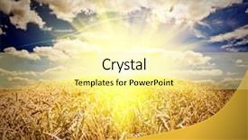  Presentation with meadow - Colorful presentation theme enhanced with urban farming - field of grass meadow wheat backdrop and a blonde colored foreground