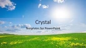  Presentation with urban green - Colorful PPT theme enhanced with urban farming - green field with flowers backdrop and a light blue colored foreground