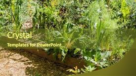  Presentation with urban - Cool new presentation theme with urban garden backdrop and a tawny brown colored foreground