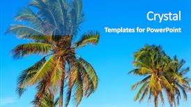  Presentation with coconut - Beautiful PPT layouts featuring urban heat island - coconut palm trees backdrop and a  colored foreground