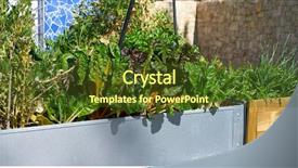  Presentation with orchard - PPT theme with urban homestead orchard raised bed background and a  colored foreground