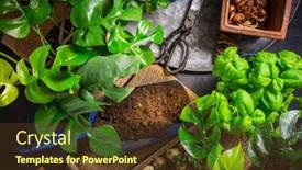  Presentation with urban green - Presentation theme consisting of urban-jungle-and-replanting-plants background and a tawny brown colored foreground