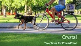  Presentation with bicycle - Theme consisting of urban park - man riding his bicycle behind background and a forest green colored foreground