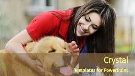  Presentation with cat dog people - Slide set enhanced with urban stylish trendy young teenage background and a tawny brown colored foreground