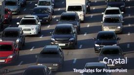  Presentation with traffic jam - Presentation featuring shih tzu 2 years old standing against white background background and a light gray colored foreground