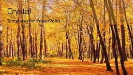  Presentation with beauty beautiful autumn in japanese - Amazing presentation design having urban tree - beautiful landscape - road backdrop and a gold colored foreground