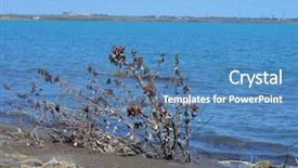  Presentation with kazakhstan - Amazing slide set having urban warfare - balkhash lake central kazakhstan backdrop and a teal colored foreground