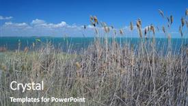  Presentation with kazakhstan - Beautiful PPT theme featuring urban warfare - balkhash lake central kazakhstan backdrop and a gray colored foreground