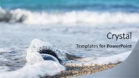  Presentation with calm sea - Audience pleasing slide deck consisting of urchin at the coast line the calm sea at the background backdrop and a light blue colored foreground