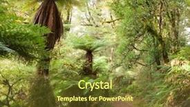  Presentation with new zealand - Slides consisting of urewera treks temperate rain forest background and a tawny brown colored foreground