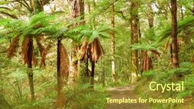  Presentation with new zealand - Cool new PPT layouts with urewera treks temperate rain forest backdrop and a tawny brown colored foreground