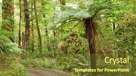  Presentation with new zealand silver fern black - Colorful presentation design enhanced with urewera treks temperate rain forest backdrop and a tawny brown colored foreground