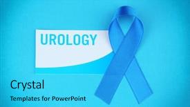  Presentation with urology cancer - Amazing presentation having urinary system - card with word urology backdrop and a cyan colored foreground