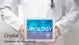  Presentation with urology - Audience pleasing presentation theme consisting of urinary system - doctor with tablet in hands backdrop and a light gray colored foreground