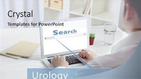  Presentation with urology - Cool new PPT theme with urinary system - man searching information on internet backdrop and a sky blue colored foreground