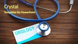  Presentation with medical urinary system - Colorful PPT theme enhanced with urinary system - medical stethoscope and card backdrop and a tawny brown colored foreground