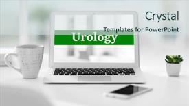  Presentation with urinary system - PPT theme having urinary system - modern laptop on table word background and a sky blue colored foreground