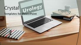  Presentation with urinary system - Cool new presentation theme with urinary system - modern laptop on table word backdrop and a light gray colored foreground