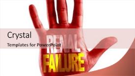  Presentation with renal - PPT theme featuring urinary system - renal failure written on hand background and a coral colored foreground