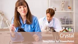  Presentation with vet - Presentation design with urine veterinary - doctor and assistant in vet background and a coral colored foreground